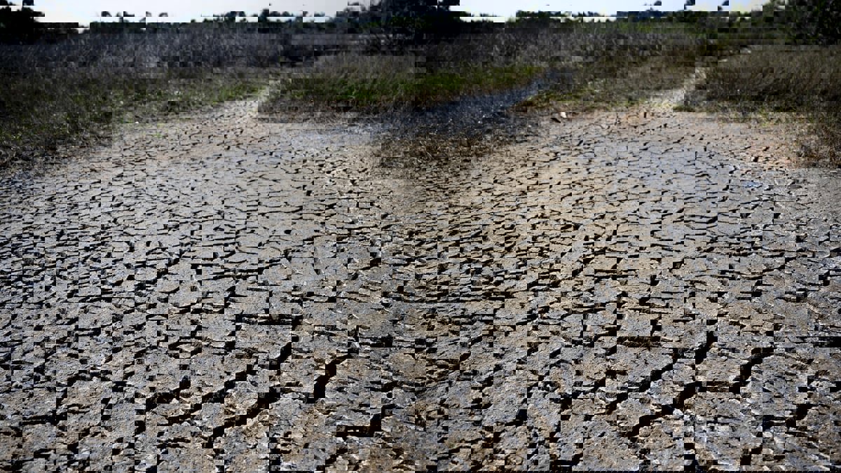تعرّف على تقنية "الاستخلاص المباشر للكربون" وكيف يمكنها مكافحة تغير المناخ