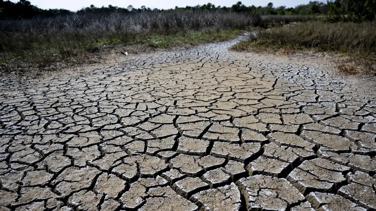 تعرّف على تقنية "الاستخلاص المباشر للكربون" وكيف يمكنها مكافحة تغير المناخ