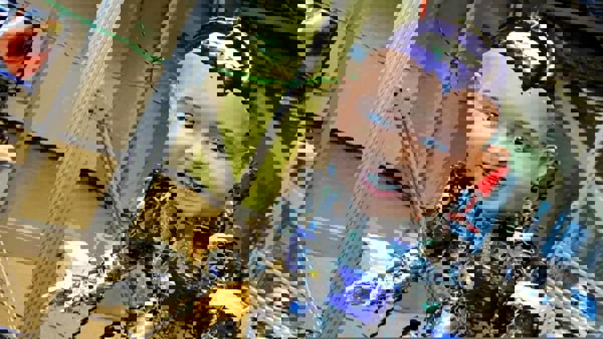 علماء يخترعون ذكاءً اصطناعيًا يفكر مثل طفل بشري