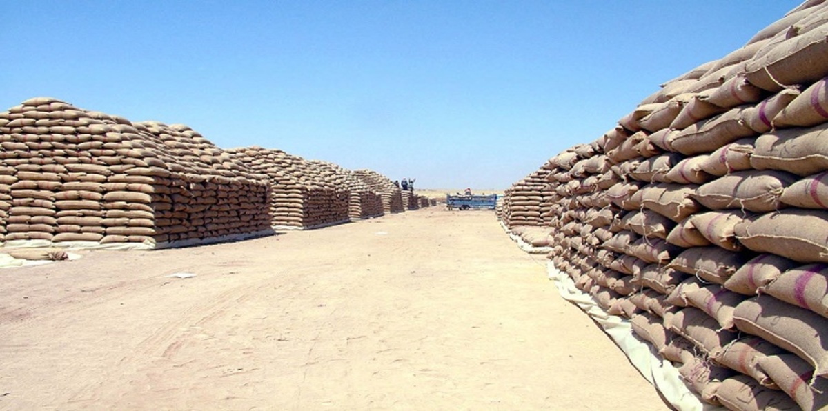 سوريا.. من الاكتفاء الذاتي لإنتاج القمح إلى شراء مليون طن من الحليف المقرب