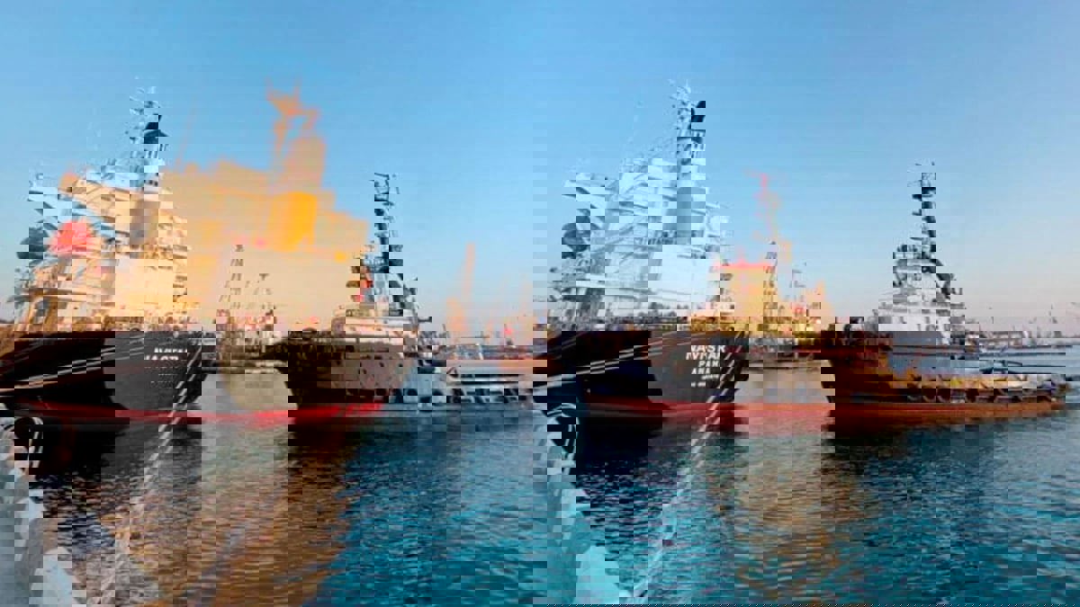 أوكرانيا: تراجع القدرة التصديرية للموانئ على نهر الدانوب بسبب الهجمات الروسية