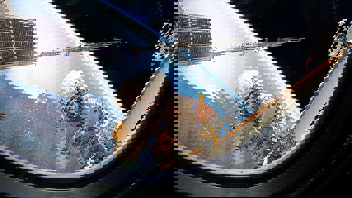 دراسة: رواد الفضاء يفقدون 54% من خلايا الدم الحمراء