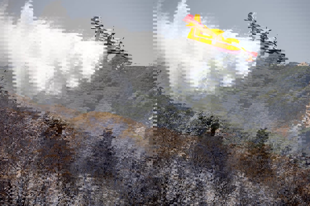 حرائق في غابات المغرب وسط جهود متسارعة لاحتواء النيران