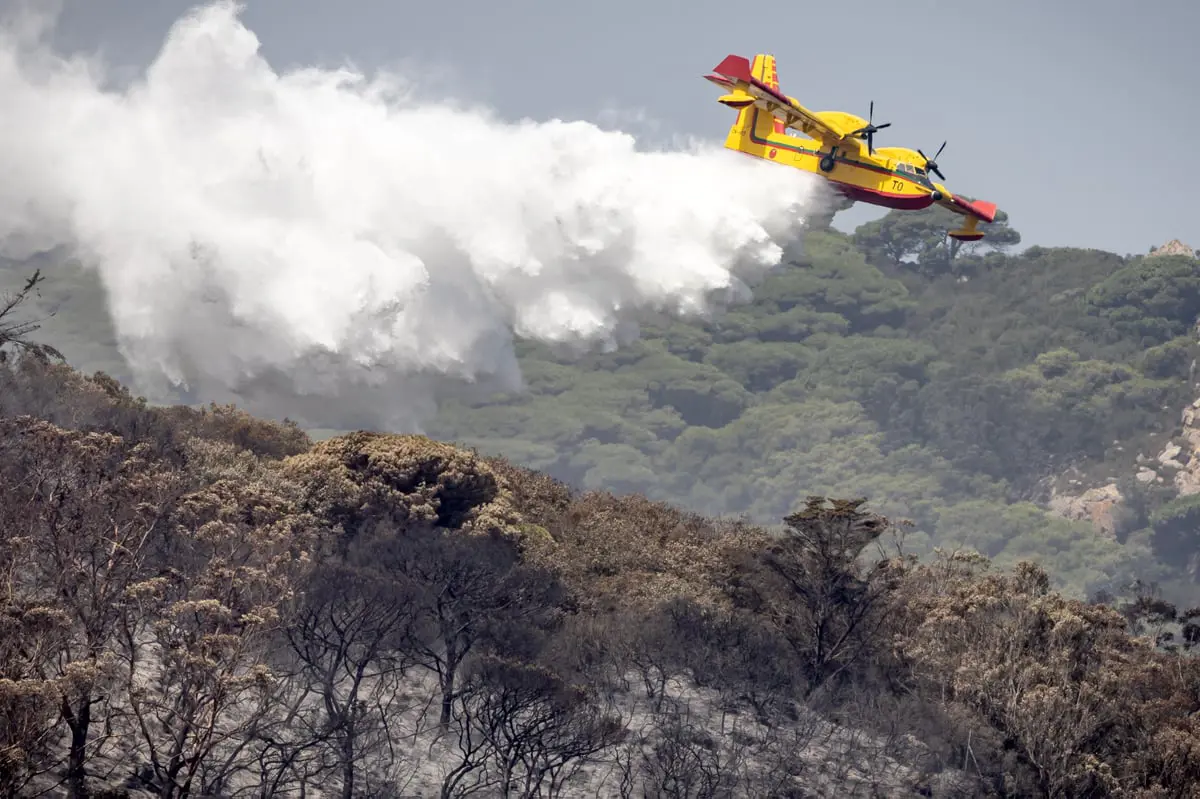 حرائق في غابات المغرب وسط جهود متسارعة لاحتواء النيران
