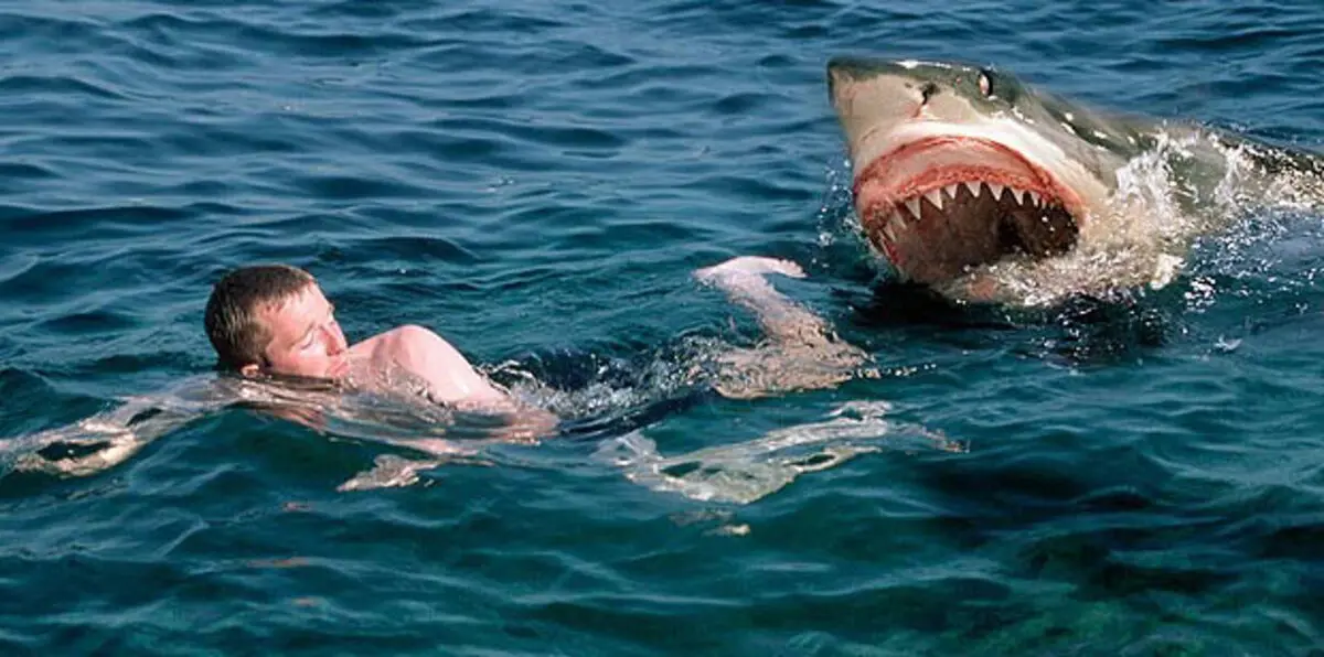 هاواي.. سمكة قرش تقضم قدم راكب أمواج