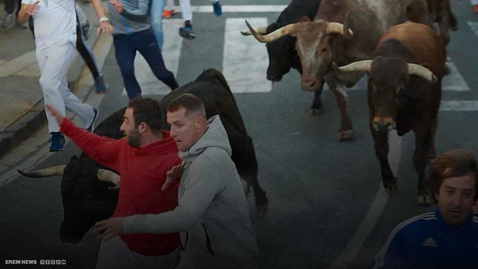 خذله حذاؤه.. رجل خمسيني ضحية ثور هائج في إسبانيا (فيديو)