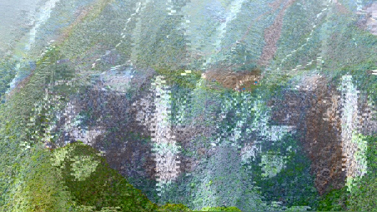 شاهد أعمق غابة مكتشفة في العالم