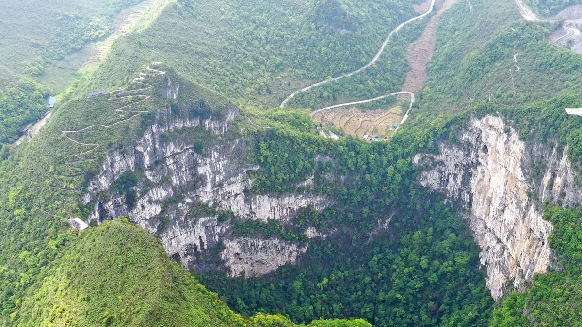 شاهد أعمق غابة مكتشفة في العالم