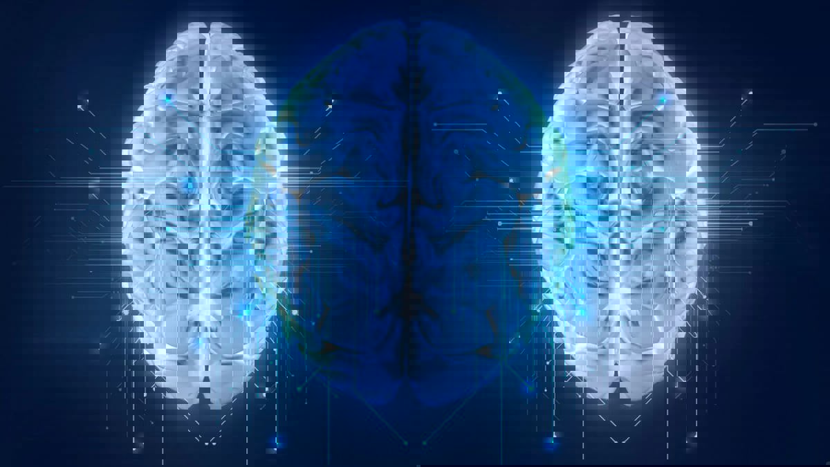 جامعة أمريكية: دماغ الإنسان لم يتقلص قبل 3000 عام