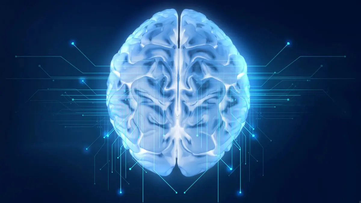 جامعة أمريكية: دماغ الإنسان لم يتقلص قبل 3000 عام