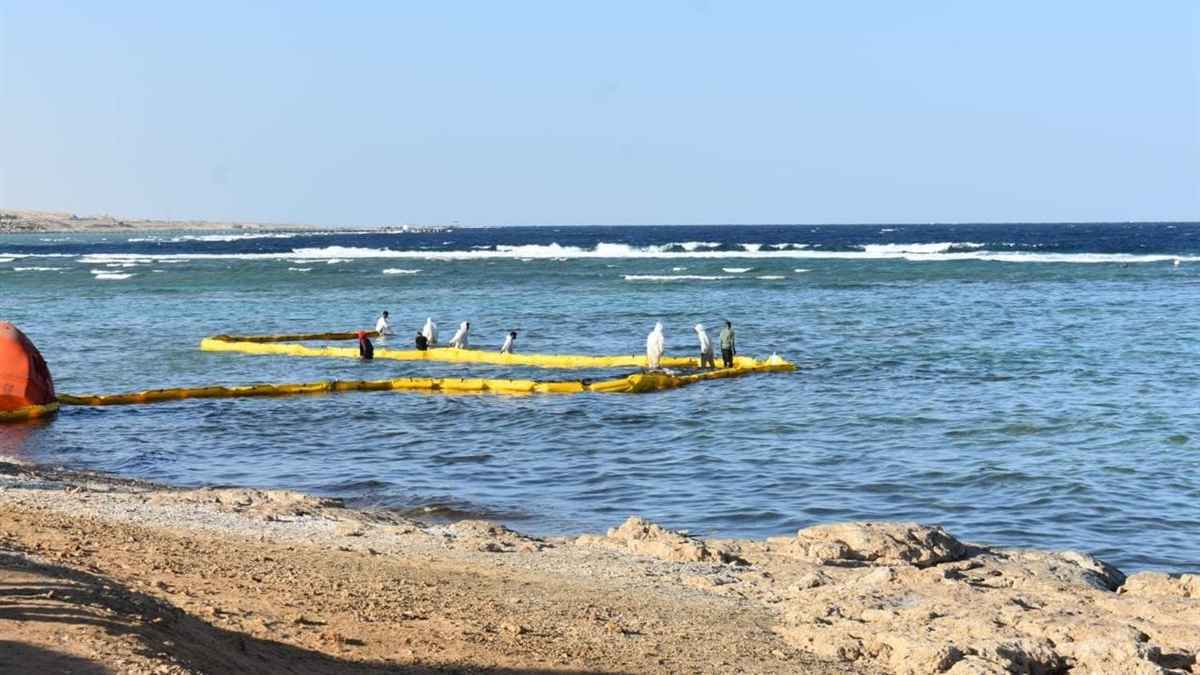 بقعة زيت تهدد الشعاب المرجانية بالبحر الأحمر.. ما القصة؟ (فيديو)