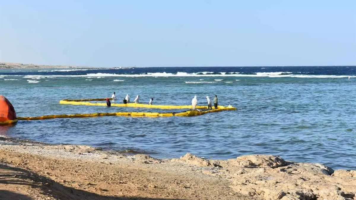 بقعة زيت تهدد الشعاب المرجانية بالبحر الأحمر.. ما القصة؟ (فيديو)