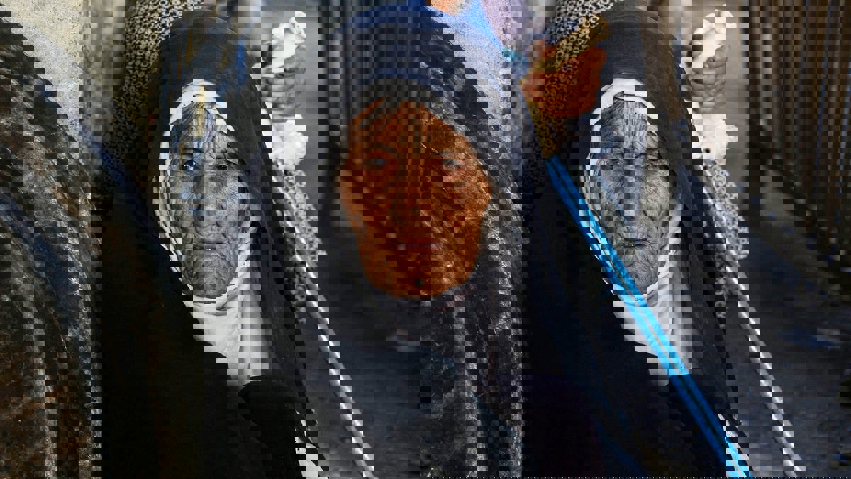 تقرير: حرب أوكرانيا فاقمت الأزمات الإنسانية بدول مثل اليمن وأفغانستان