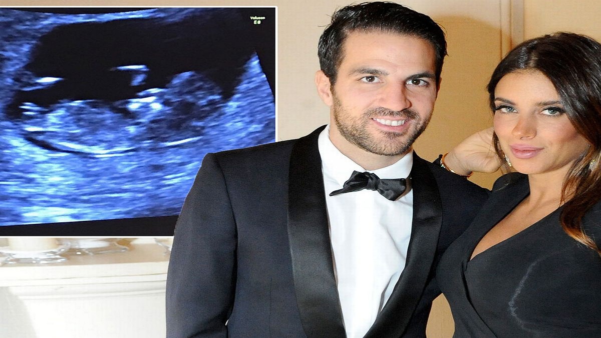 سوشيال ميديا الرياضة: فابريغاس يغازل زوجته.. وإبراهيموفيتش يثير غضب الجماهير