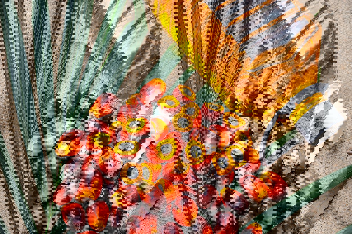 أسوأ 5 زيوت مستخدمة في الطهي.. احذرها