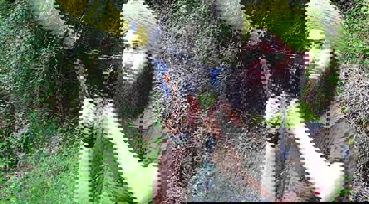 "القاعدة في المغرب الإسلامي" تتوعد فرنسا