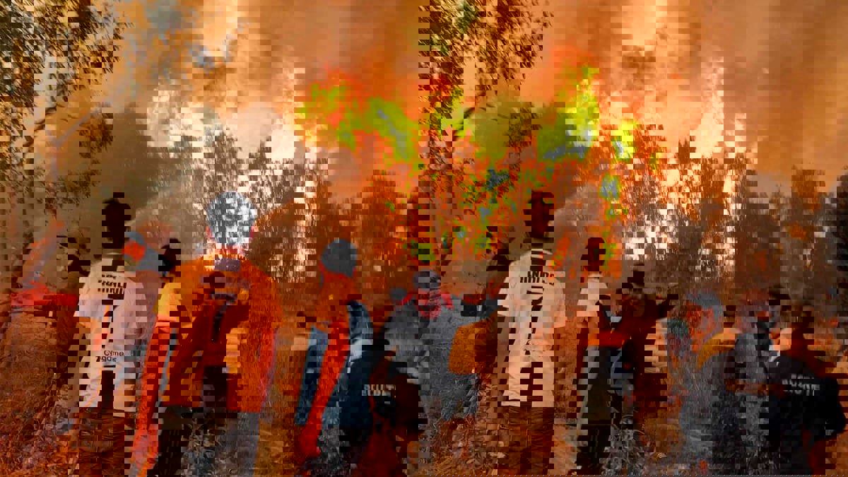 الجزائر.. اعترافات جديدة لمتورطين بقتل شاب اتهم زورًا بإحراق الغابات