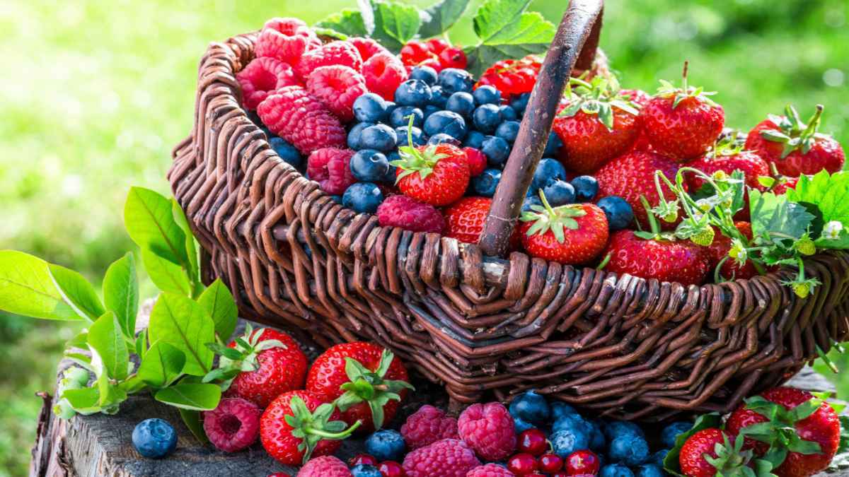 3 أطعمة كل صباح تُحسن صحة الأمعاء والكبد