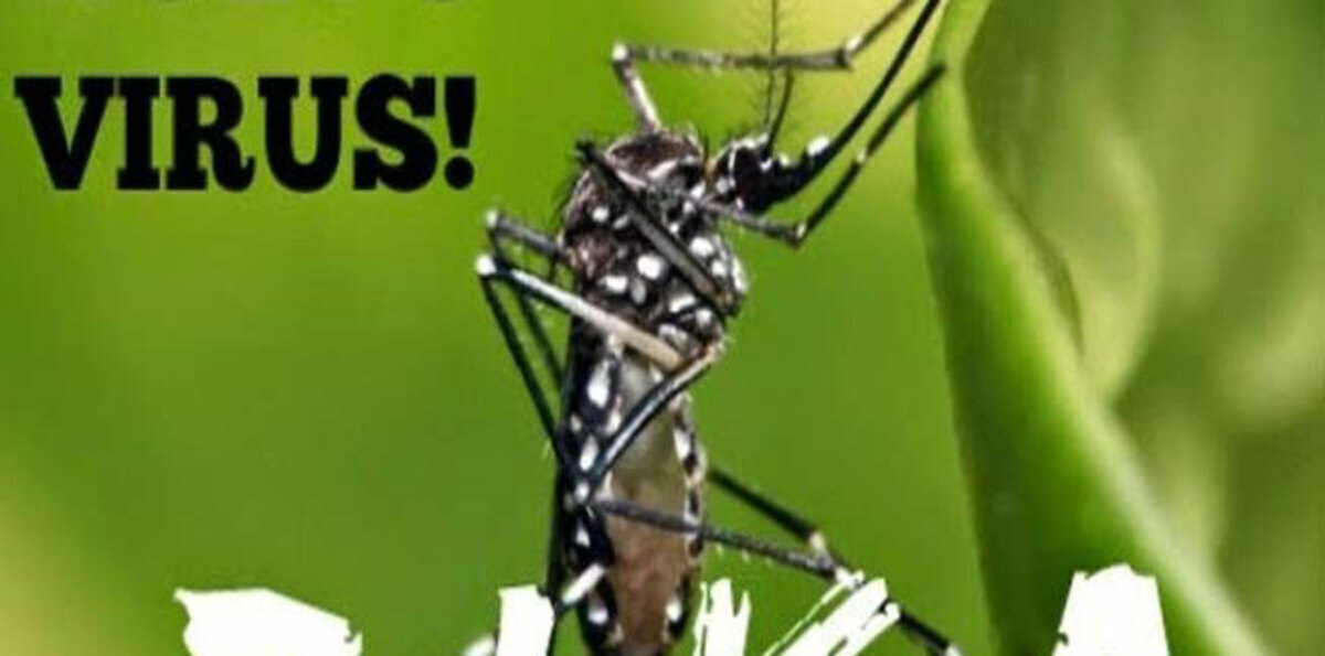 الهند تعلن عن اختراع  لقاح ضد فيروس زيكا