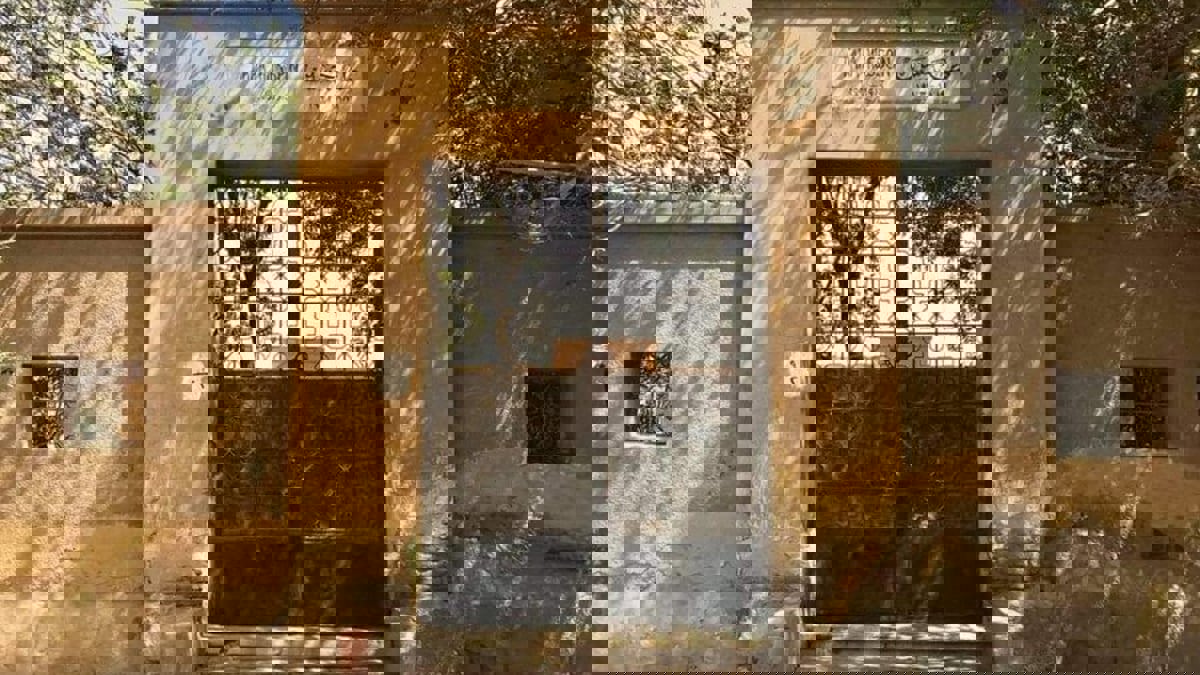 مصدر لـ"إرم نيوز": قرار إزالة قبر طه حسين ألغي بعد إعلان أسرته نقل رفاته إلى فرنسا