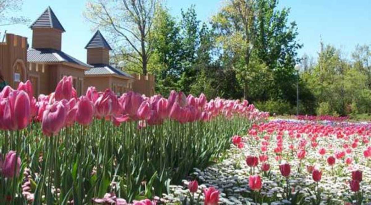 أستراليا تسجل فصل الربيع الأكثر حرارة هذا العام‎