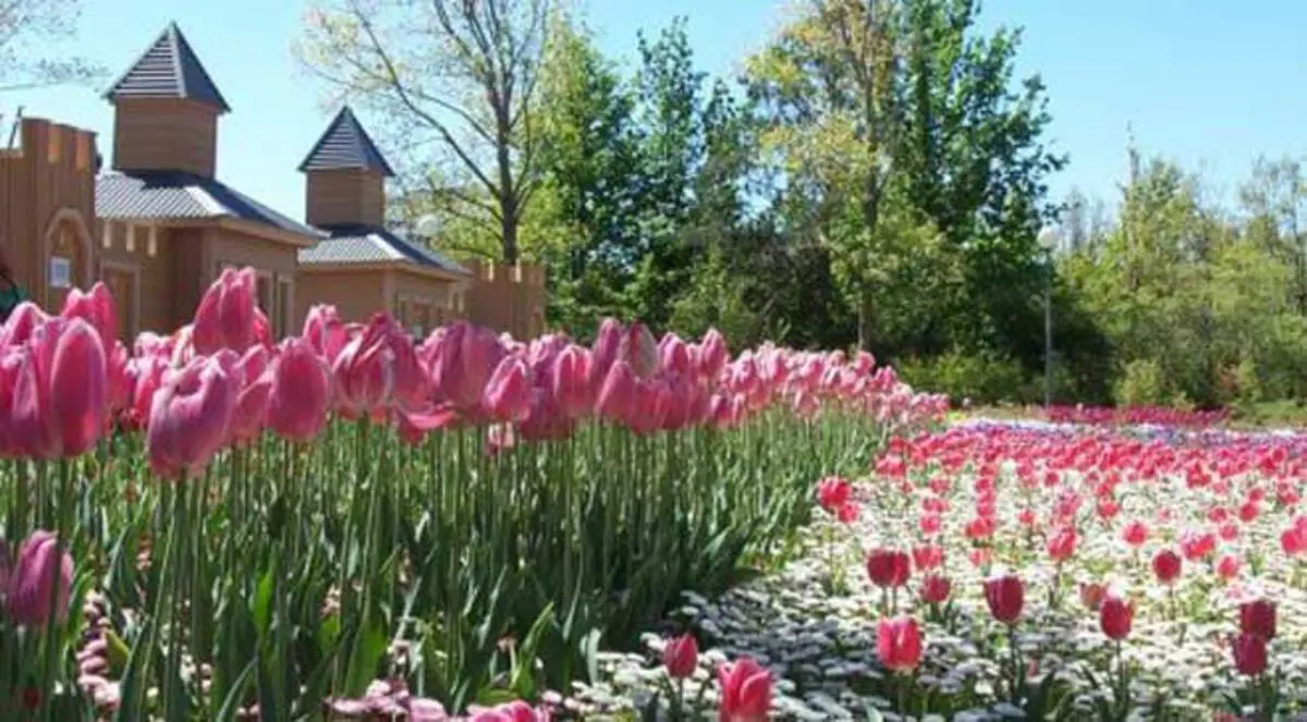 أستراليا تسجل فصل الربيع الأكثر حرارة هذا العام‎