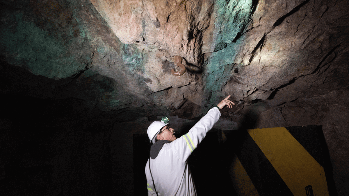 تقرير: أمريكا تخطط للسيطرة على سوق المعادن الإستراتيجية في أفريقيا