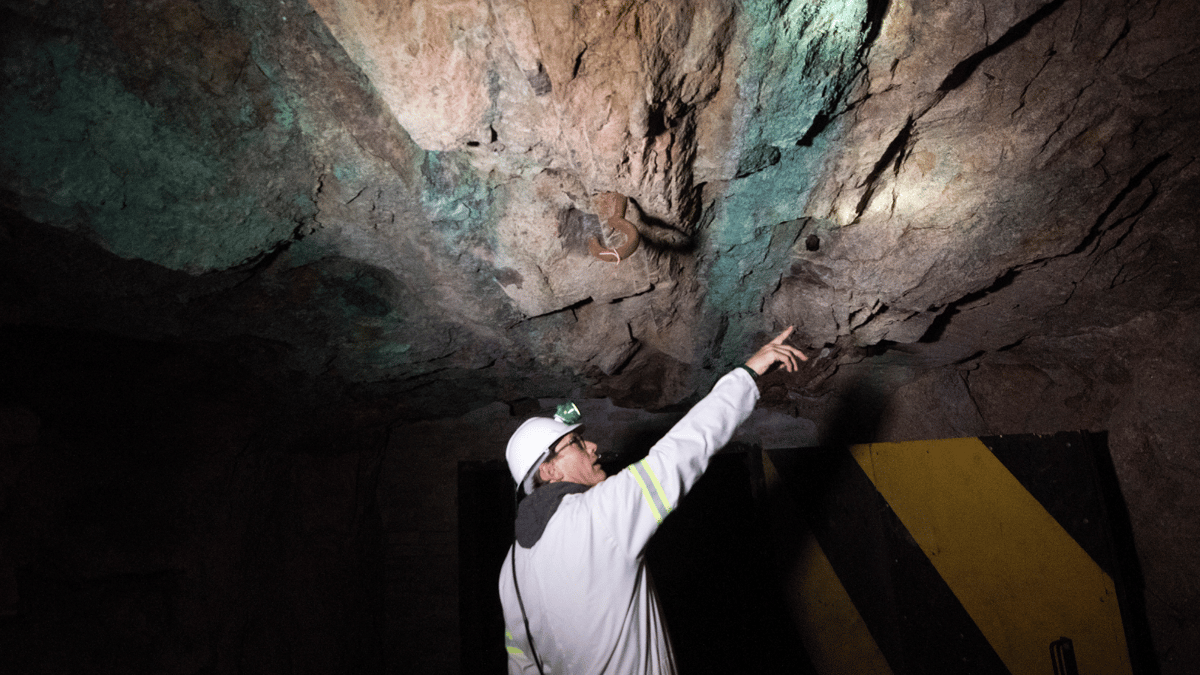 تقرير: أمريكا تخطط للسيطرة على سوق المعادن الإستراتيجية في أفريقيا