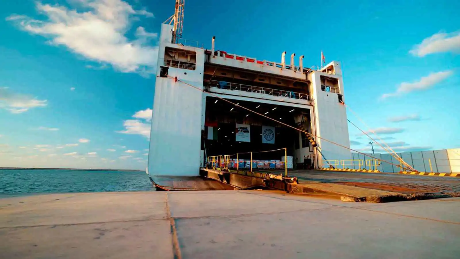 سفينة الإمارات الإنسانية تصل إلى ميناء العريش لدعم قطاع غزة (فيديو)