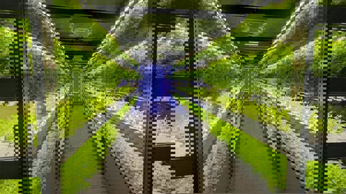 تدشين مزرعة عمودية في محطة مترو الأنفاق في تايوان