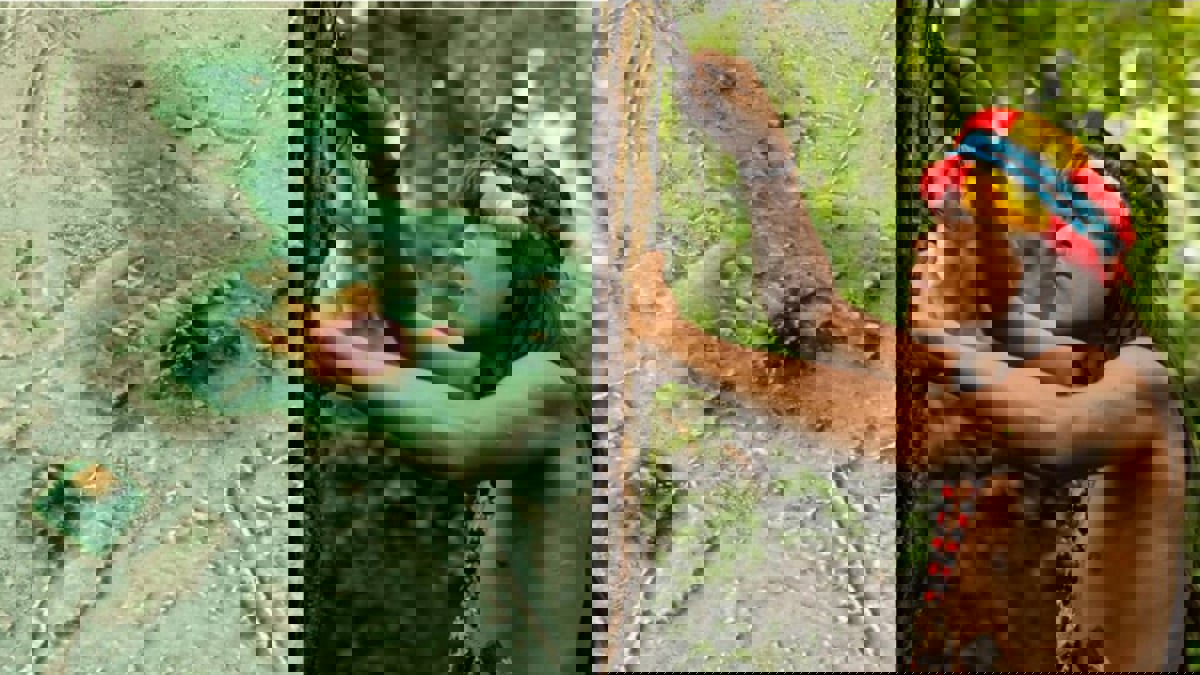 سكان الأمازون بنوا أهرامات ومدنا غامضة في القرون الوسطى