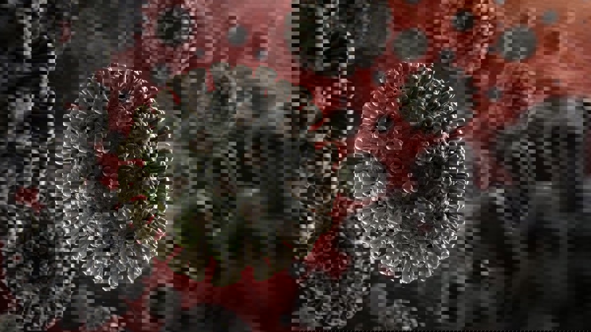 اكتشاف آلاف الأنواع من الفيروسات تلتقط الكربون وتخزنه في قاع المحيط