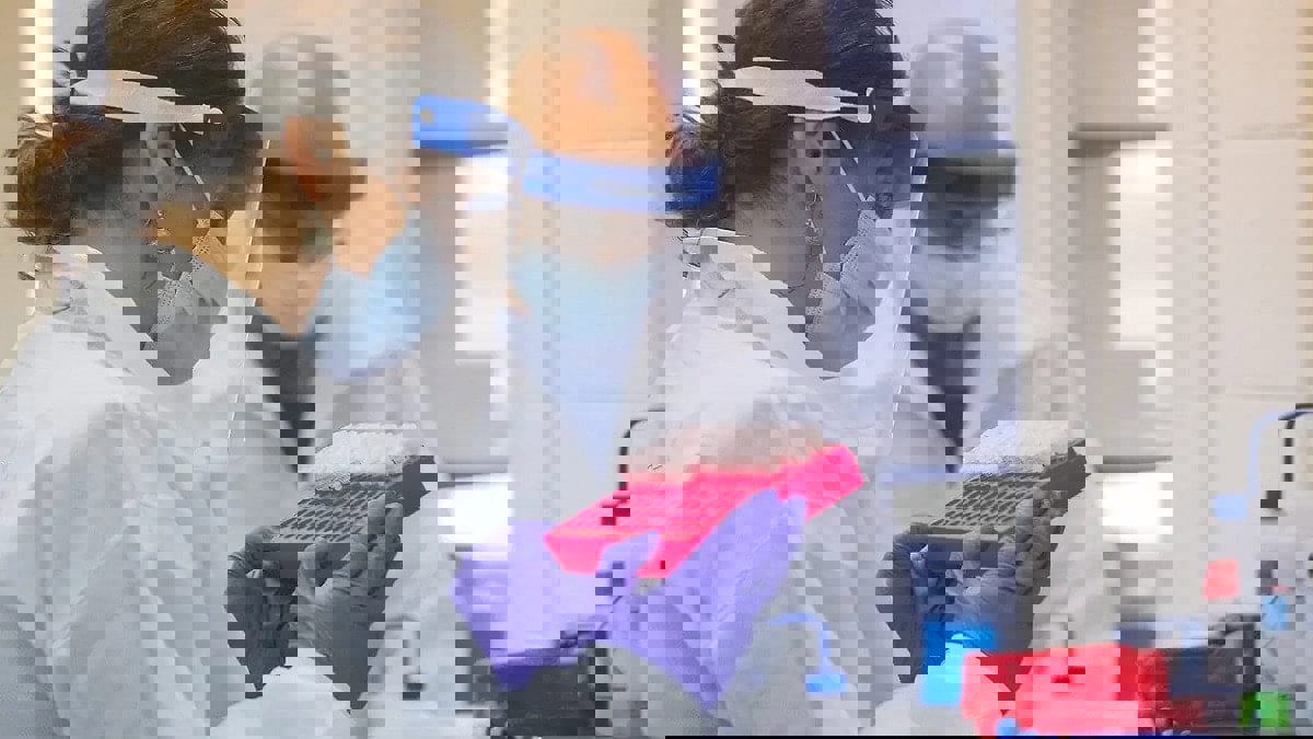 فايزر ومودرنا تختبران لقاحيهما على السلالة الجديدة لكورونا