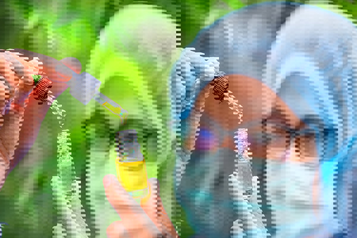 دراسة: القنب قد يقضي على أكثر أنواع السرطان فتكا 