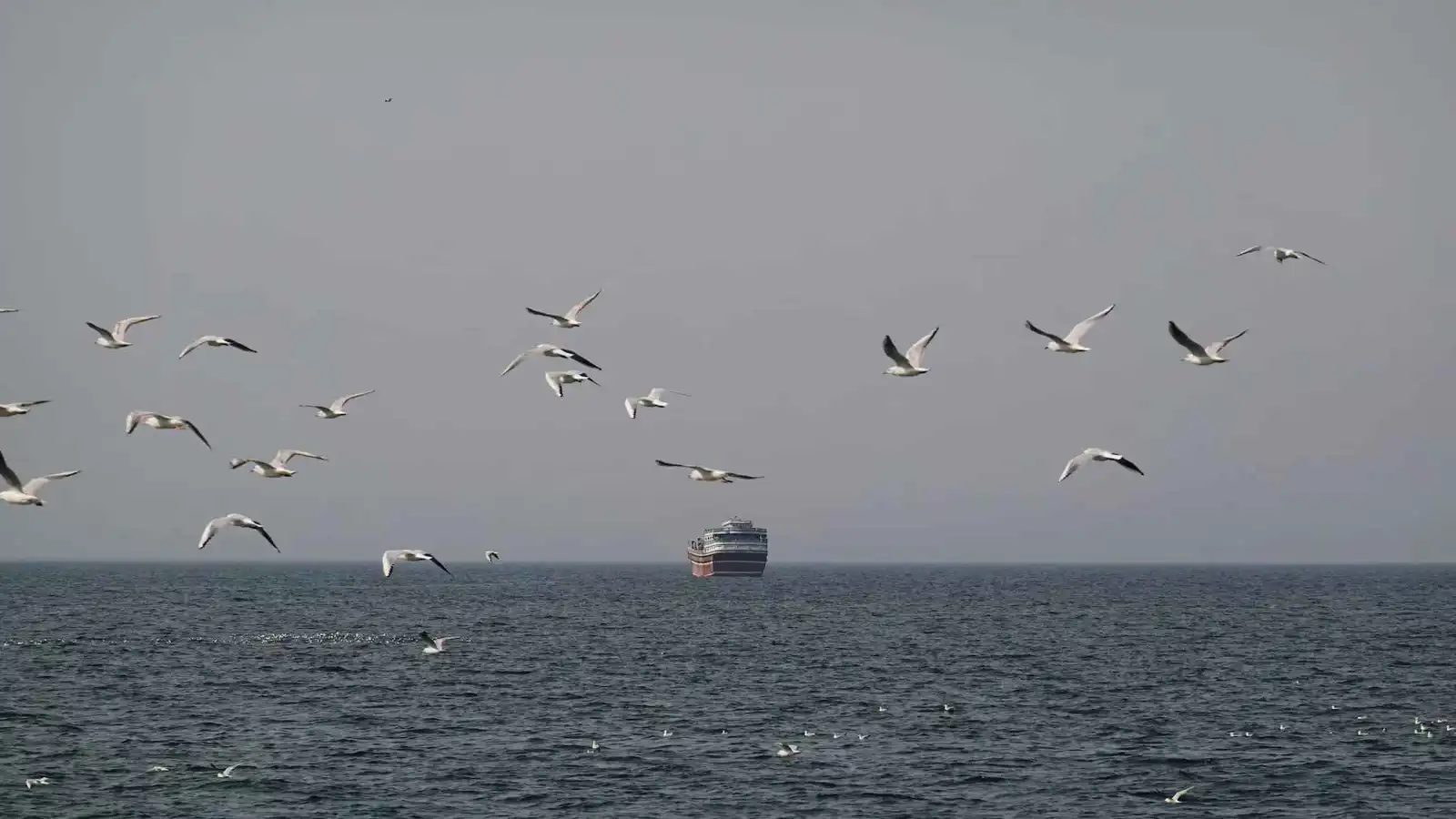 إيران ترد على تهديدات ترامب بمشروع "إدارة مضيق هرمز"