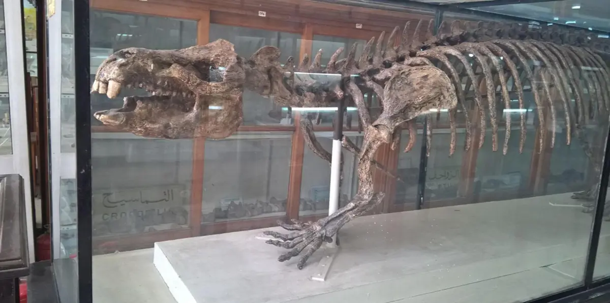 اكتشافات جديدة لحفريات ديناصورات في صحراء مصر