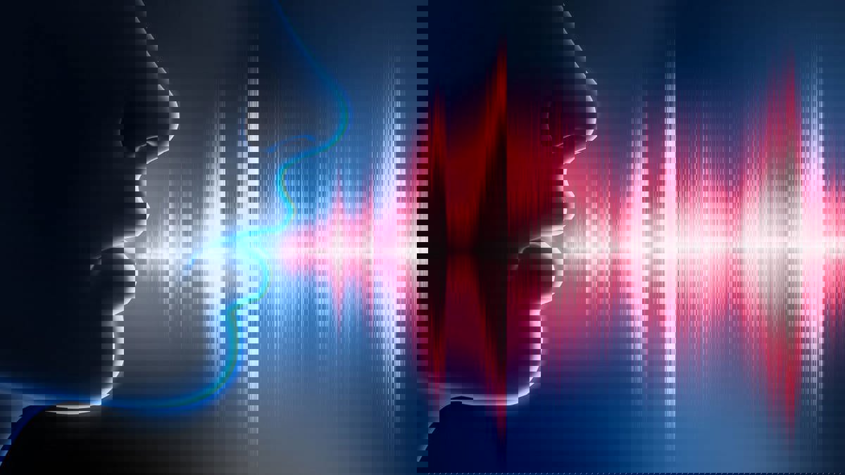 هندسة الصوت البشري.. بين الموهبة والمران وارتباطها الوثيق بالمقامات الموسيقية