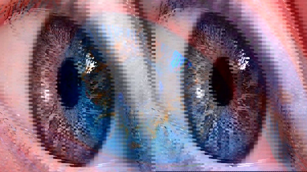 نصائح أساسية لحماية العين من "المياه البيضاء"