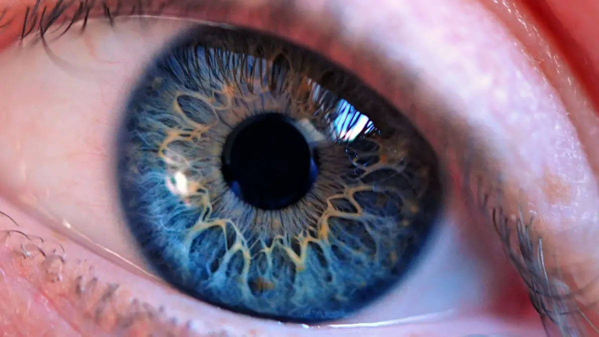 نصائح أساسية لحماية العين من "المياه البيضاء"