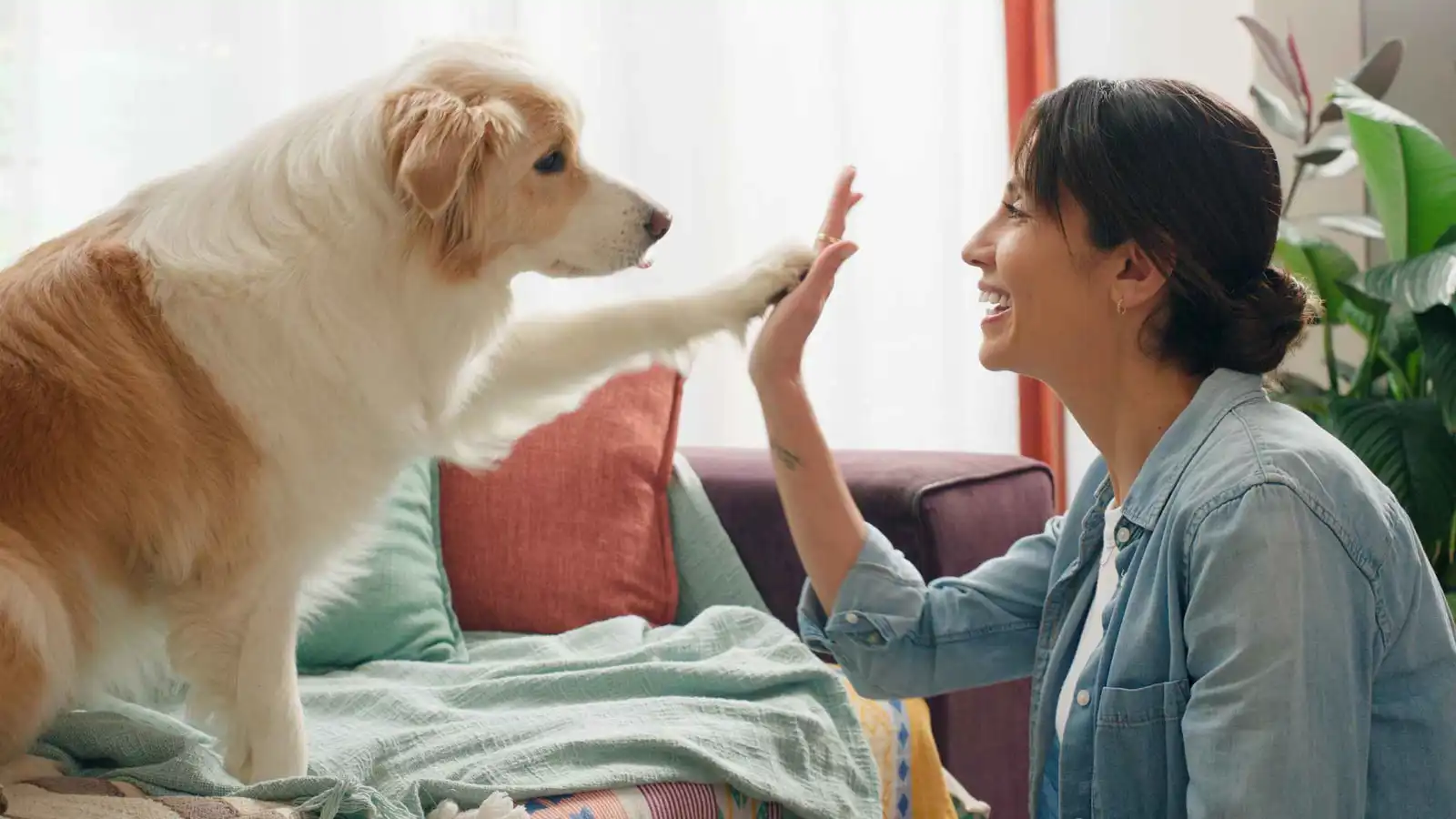 5 سلالات كلاب قد تجلب لك المتاعب لا السعادة