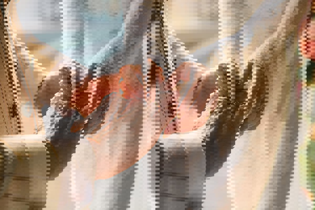 مصر.. زفاف يتحول لمأتم بسبب صديقة العروس