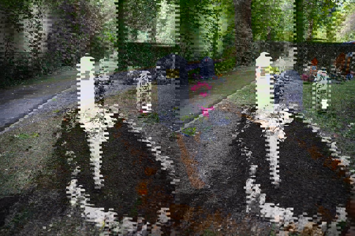 من فلويد إلى نائل!