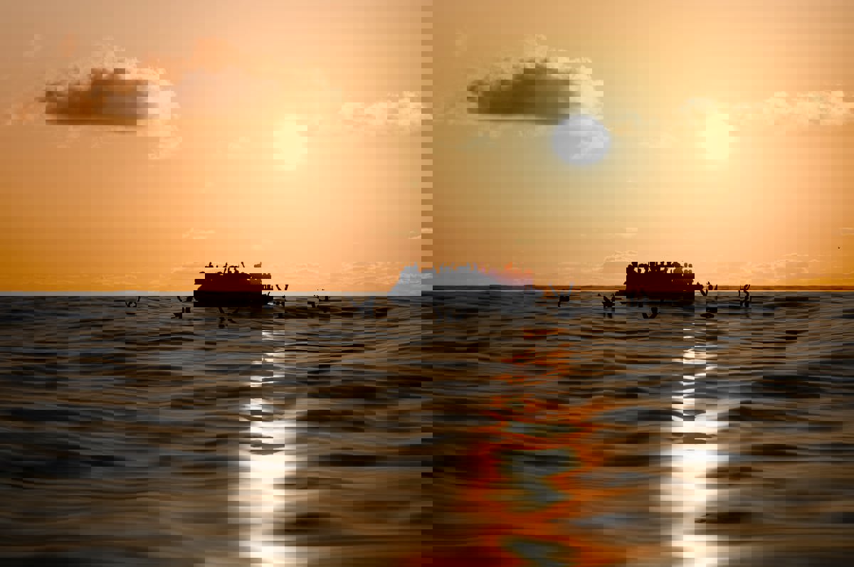 الجزائر.. سقوط شبكة إجرامية مختصة بالهجرة غير الشرعية