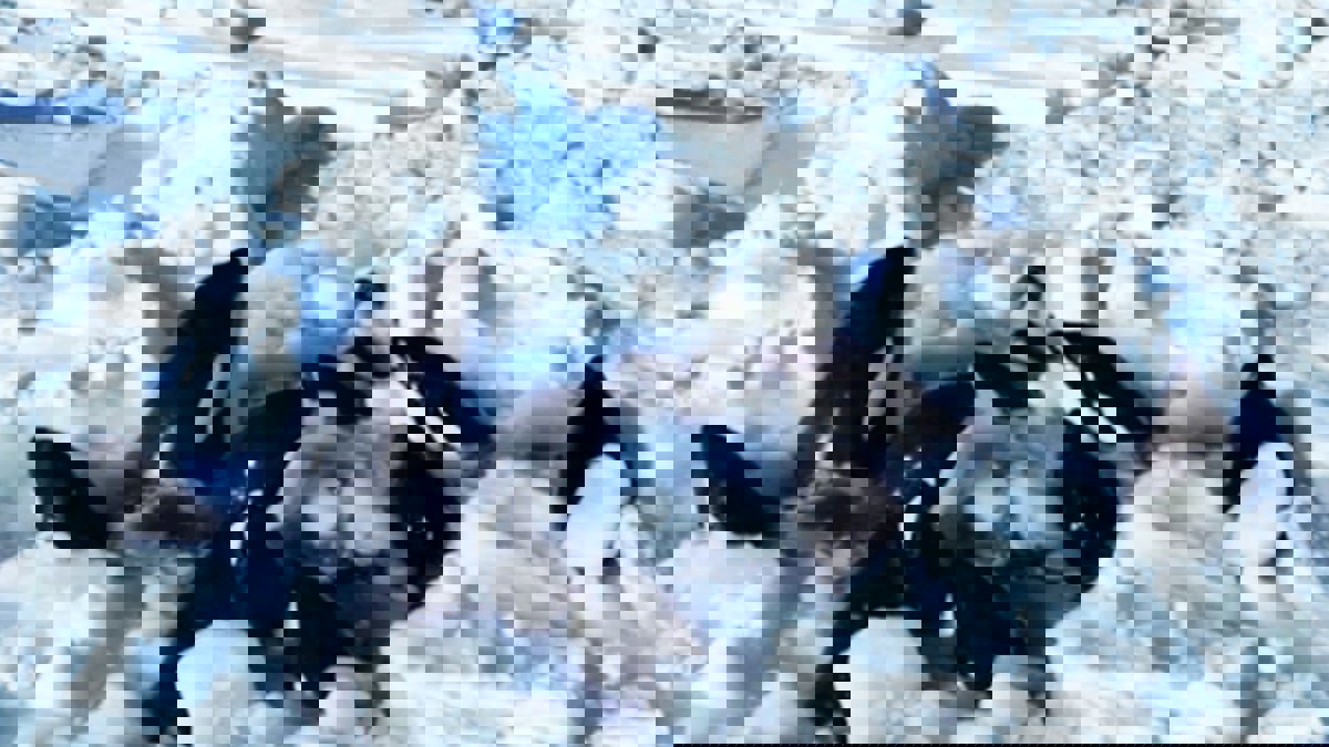 روسيا تعرض المساعدة لإنقاذ حيتان عالقة في جليد اليابان (فيديو)