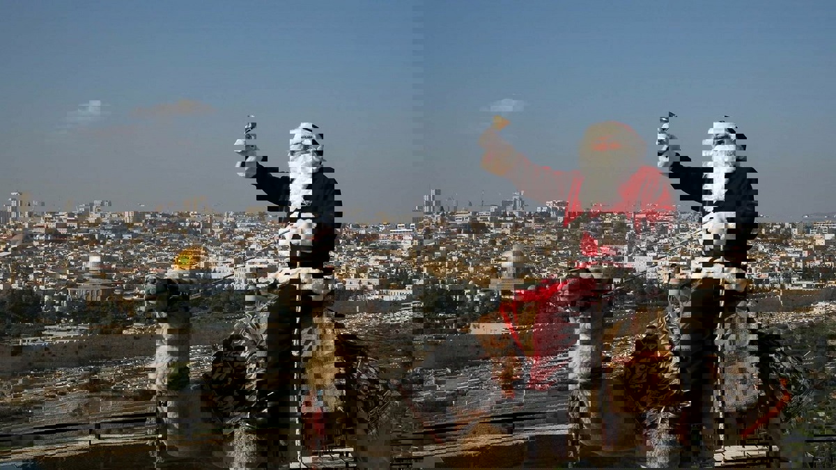 بابا نويل يمتطي جملًا ويوزع أشجار عيد الميلاد في القدس (فيديو وصور)