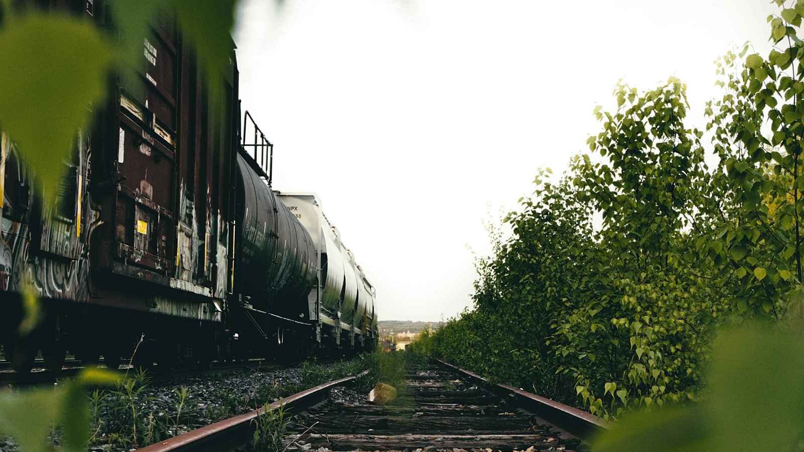 مصر.. رشق قطار بالحجارة يُعرّض طفلة لإصابة خطيرة