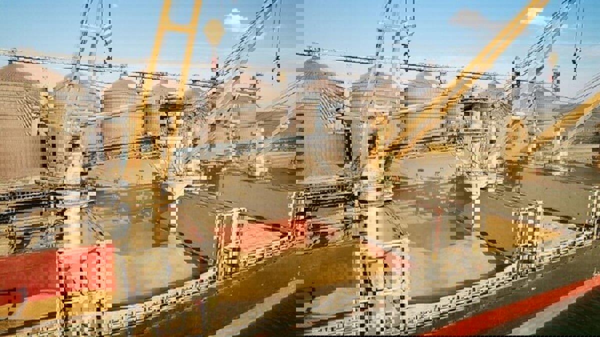 مسؤول أوكراني: قصف روسي متكرر لخط أنابيب الأمونيا في خاركيف 