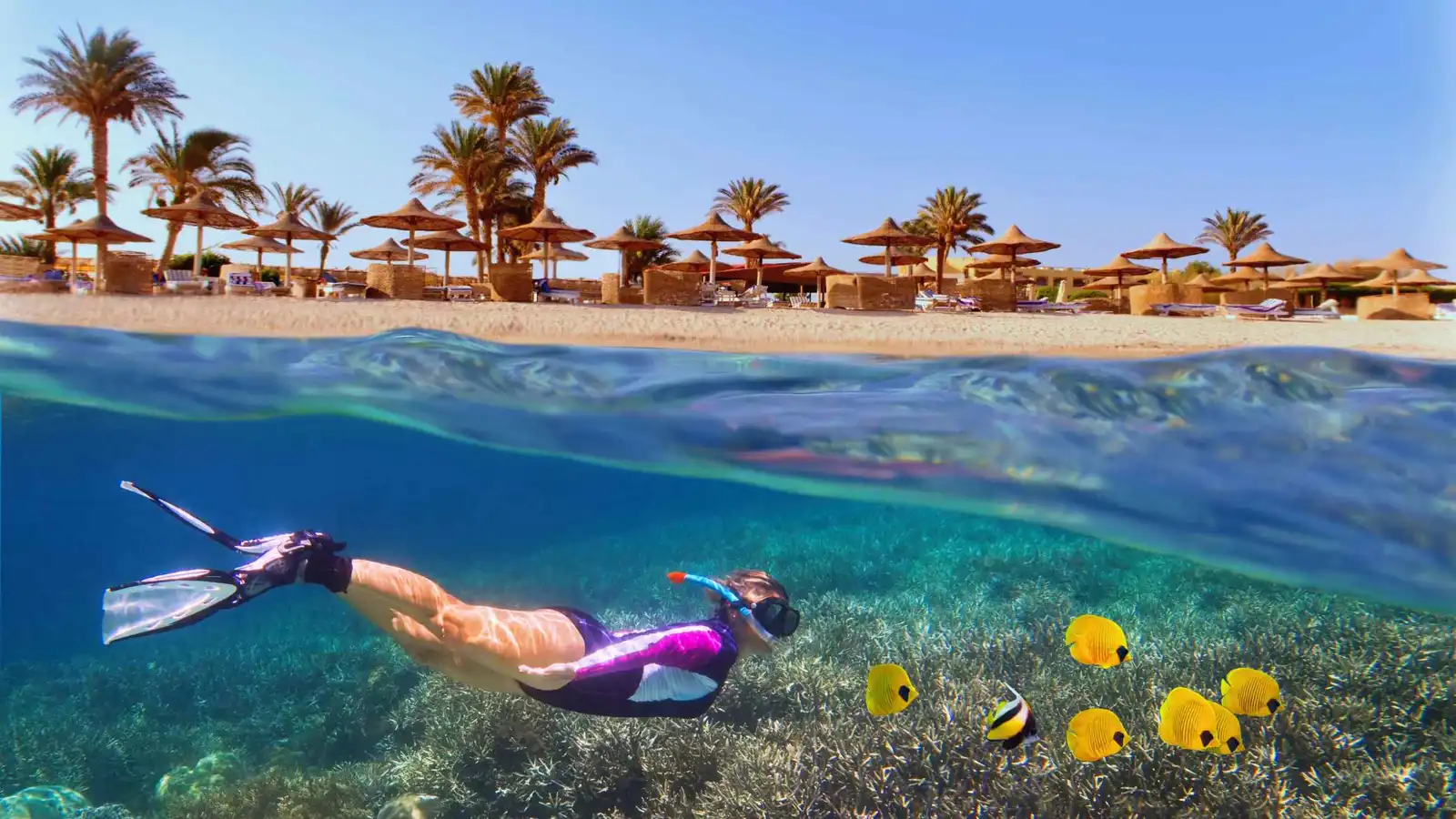 شرم الشيخ.. وجهة الأحلام وبقعة استثنائية من الجغرافيا (صور)