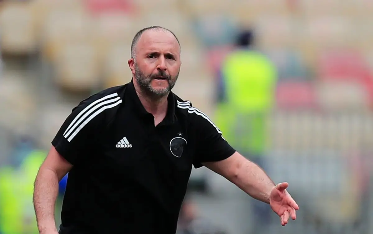 مفاجأة حول هوية خليفة بلماضي في تدريب الجزائر 

