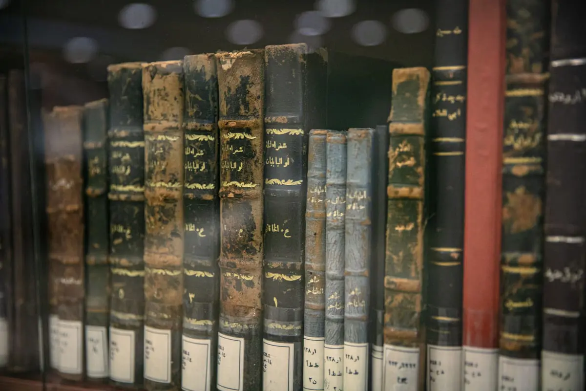 لا تقتلوا العربية 